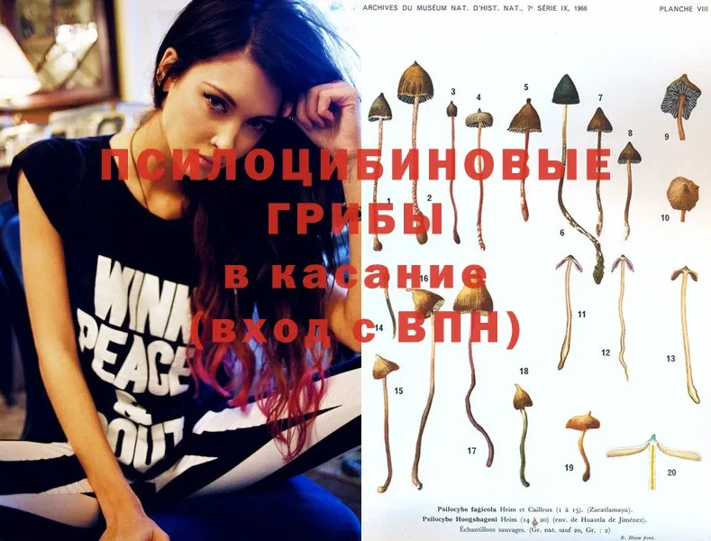 Псилоцибиновые грибы MAGIC MUSHROOMS  нарко площадка как зайти  Заозёрный 